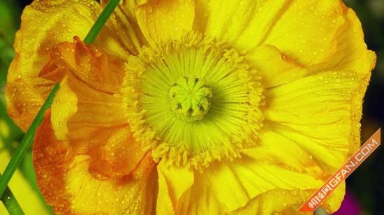 65寸智能电视测评排行,创维65电视评测