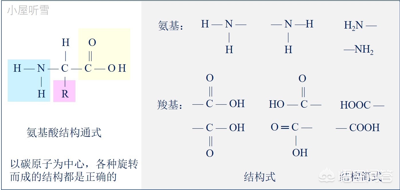 为什么高二生物学生学不懂,初中生生物听不懂怎么办