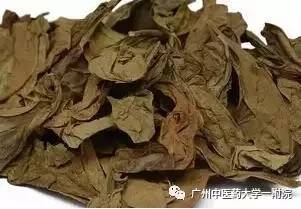 龙脷叶润肺汤,健脾鲫鱼汤