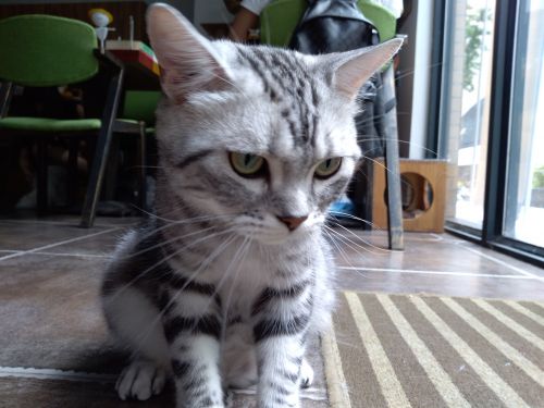 华为畅享7深度评测,华为手机畅享7评测