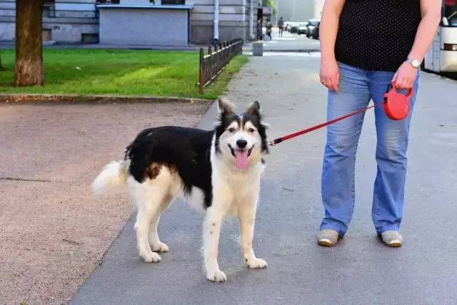 代买星巴克哪个平台好,中国星巴克平台