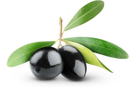 橄榄油护发能防止断发吗,椰子油护发和橄榄油护发哪个好