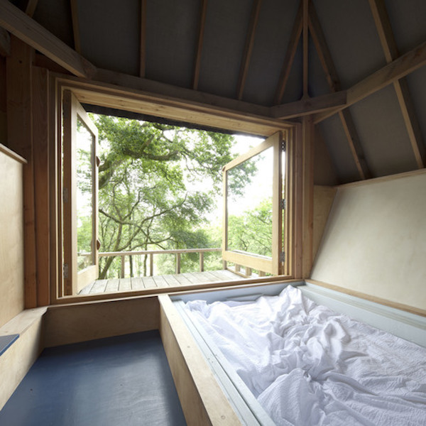 全球最美十大树屋名宿,全球十大树屋酒店