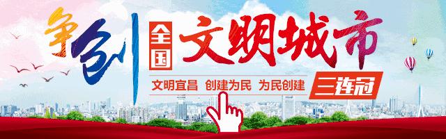 升学与就业并重,升学就业和前途