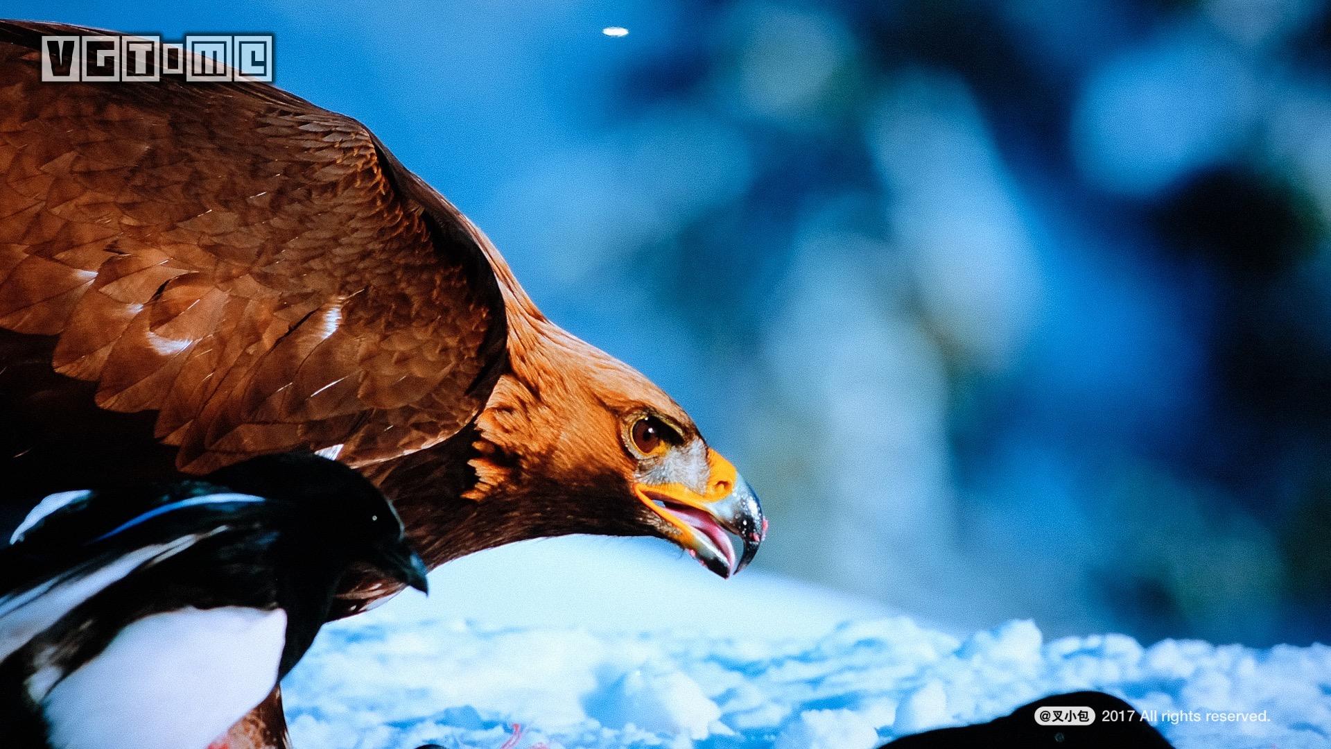 索尼新品4k超高清电视,索尼65x9000e电视机深度测评