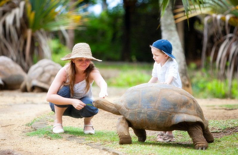 免签就能去的最梦幻之地,毛里求斯梦幻海岛行