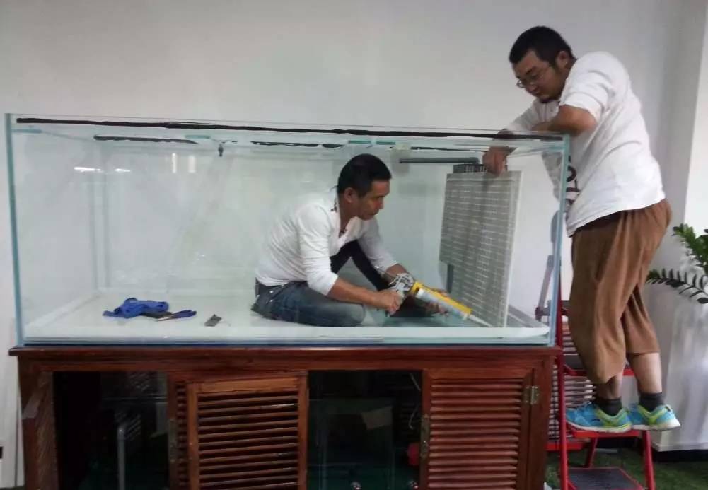 2米龙魟虎缸，23天开缸全记录