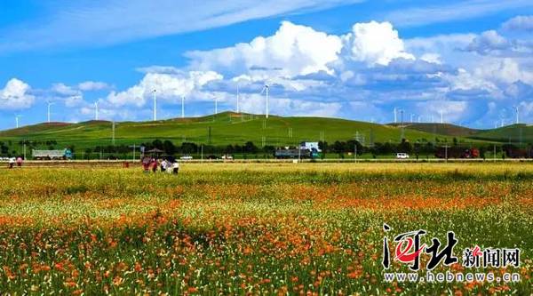 在燕赵大地续写绿色传奇