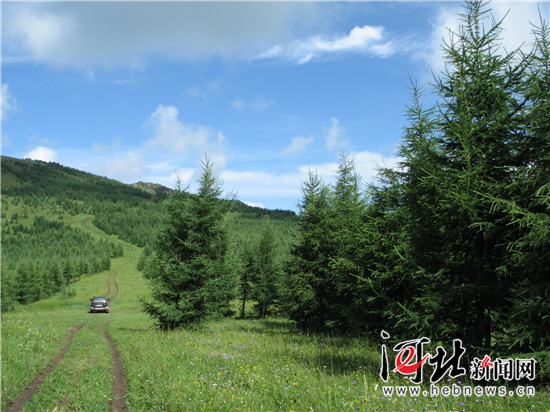 在燕赵大地续写绿色传奇