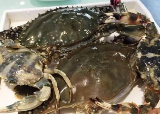 哈尔滨素食自助餐厅十三元一位,哈尔滨值得去的自助餐厅