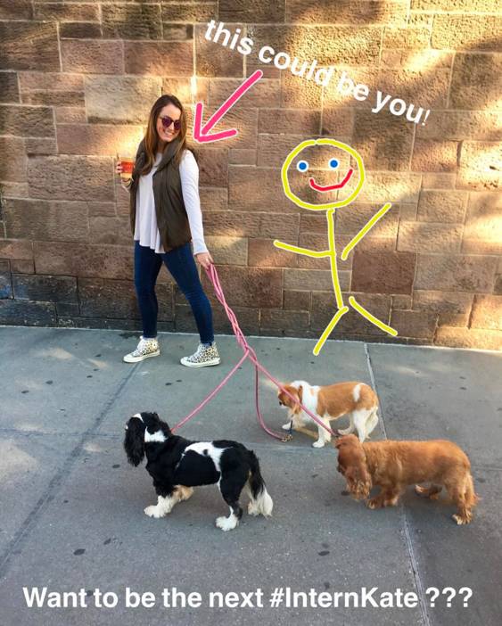 我没牙，我腿短，但我很红！