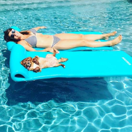 我没牙，我腿短，但我很红！