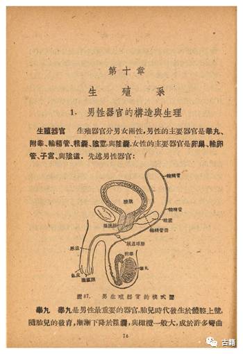 不可讲?羞于讲?──百年中学生物教科书中“人的生殖”