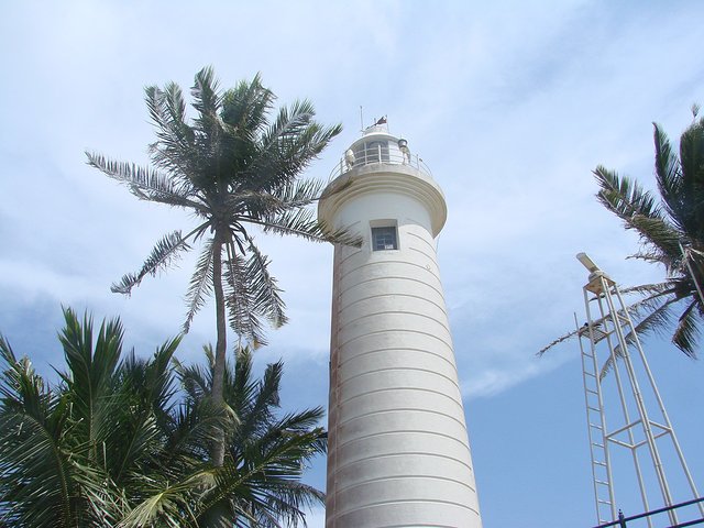 在斯里兰卡旅游必做的10件事,在斯里兰卡的难忘旅行经历