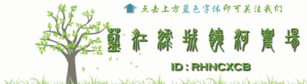 饶河农场天气预报,饶河农场定位