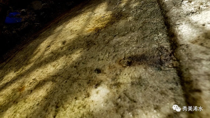 「浠水解密」白色恐怖下的兰溪