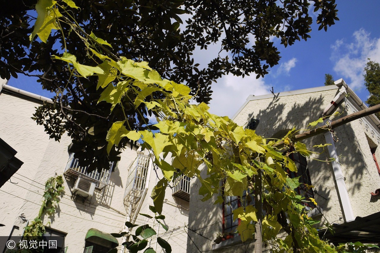 上海人家的位置,上海周边免费的避暑之地