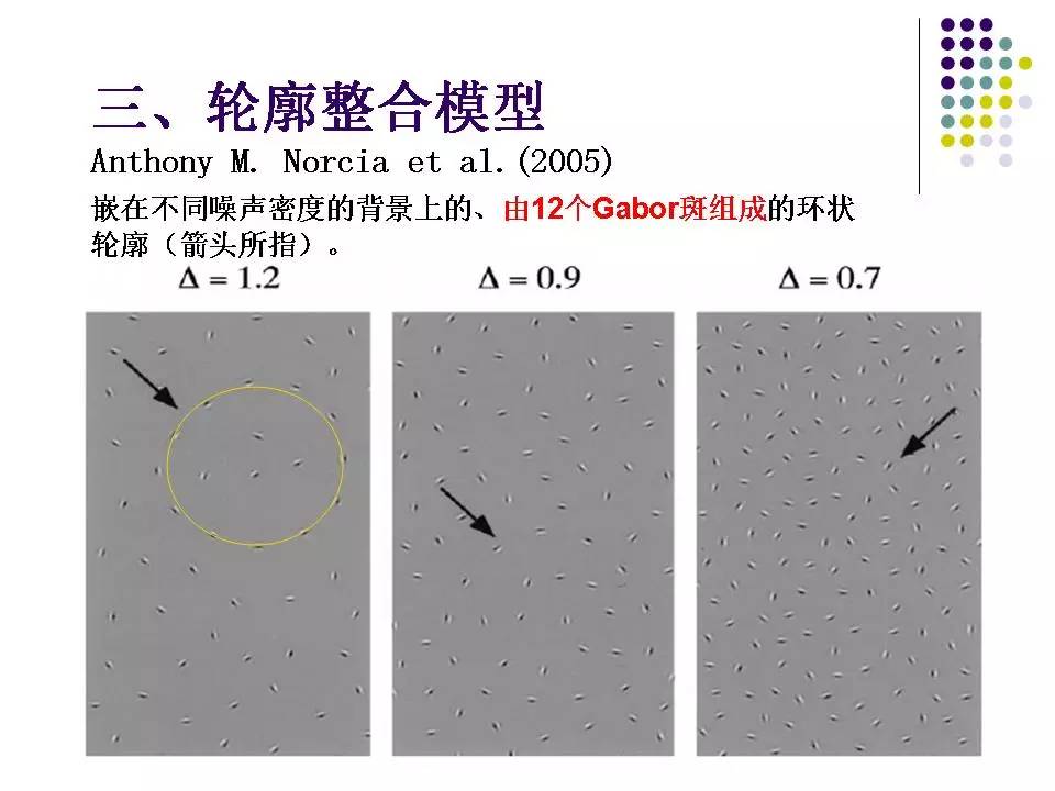 近视弱视斜视培训,弱视斜视课程