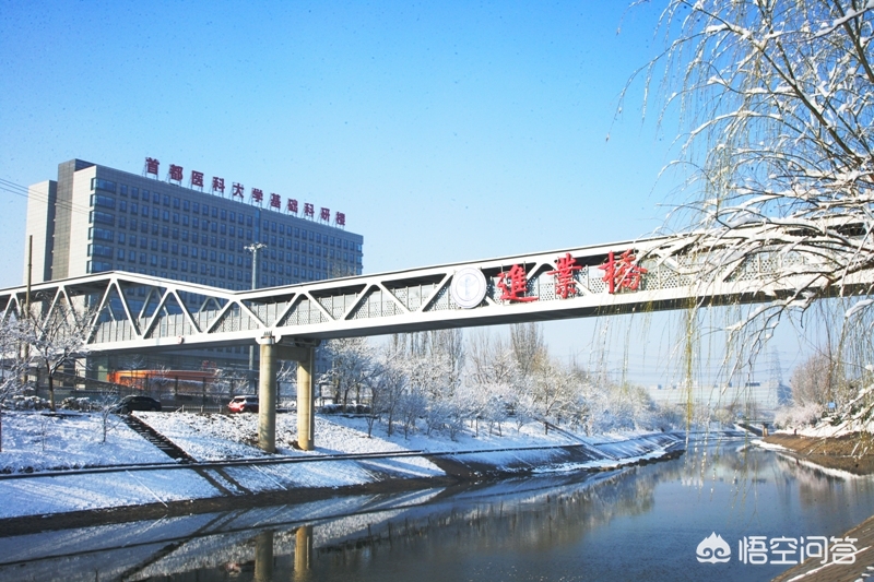 首都医科大学儿科专业5年制录取，今后就业前景怎样？