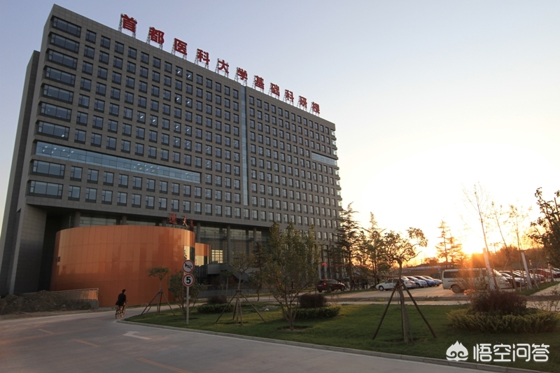 首都医科大学儿科专业5年制录取，今后就业前景怎样？