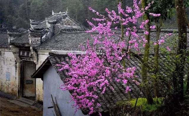 宜昌周边适合避暑的古镇,宜昌小众避暑景点