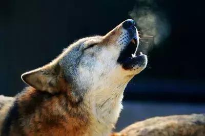 海有夜游别怪我没提醒你，购买夜票你能看到不一样的精彩！