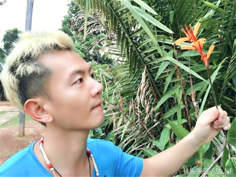 从亚马逊雨林到安纳托,最靠近亚马逊丛林的城市