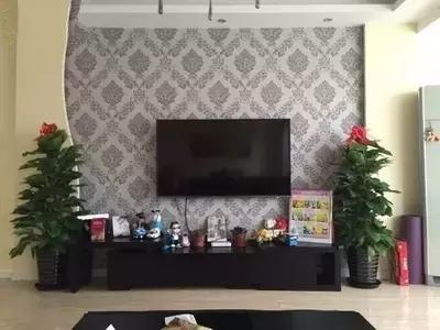 客厅适合摆放的十大植物除甲醛,客厅吸甲醛植物有哪些