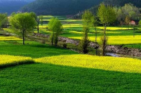 宜昌周边适合避暑的古镇,宜昌小众避暑景点