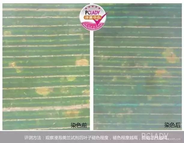 周迅2012cpb,周迅cp