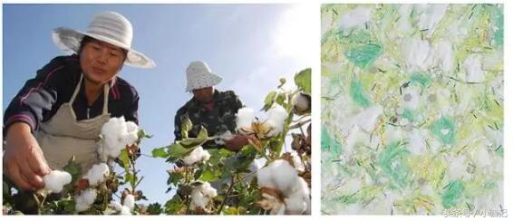 墙衣“三无、*不五**”是什么梗?戳戳看涨姿势……