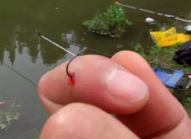鱼钩倒刺刺进肉里怎么弄出来,有倒刺的鱼钩扎到肉如何取