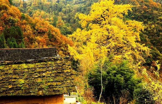 宜昌周边适合避暑的古镇,宜昌小众避暑景点