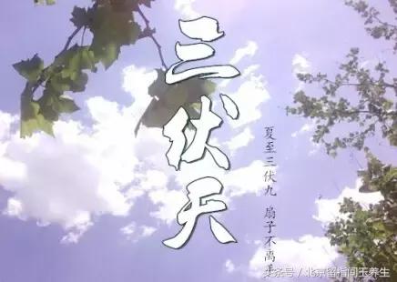 冬病夏治三伏艾浴调理正当时,冬病夏治在三伏天哪天开始好