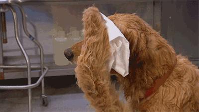 宝鸡游泳馆哪家最好,宝鸡最好的游泳馆在哪儿