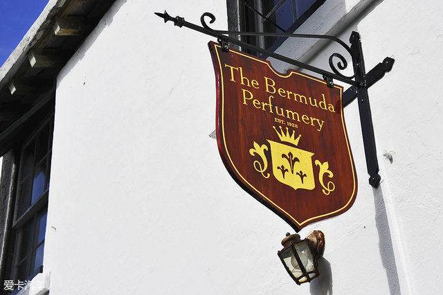 海陆皆猛虎路虎百慕大美洲帆船赛之旅