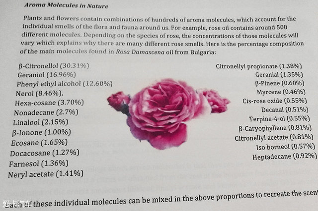 海陆皆猛虎路虎百慕大美洲帆船赛之旅