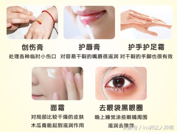 金晨的化妆包：用着1000块的美容仪，却抹着30块的木瓜膏