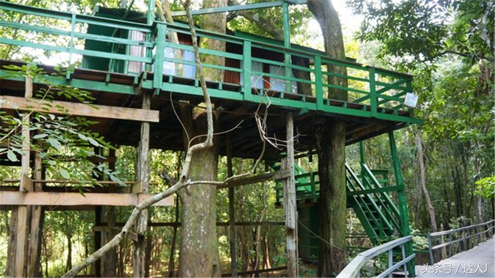 达人J：巴西的盛宴