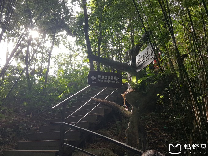 三亚10天行程攻略亲子,一家四口三亚七日游