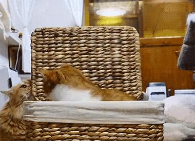 三人行必有我师其二,三人行必有我师2