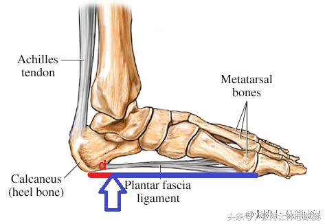 怎么站立可以改善足弓塌陷,如何站立练背