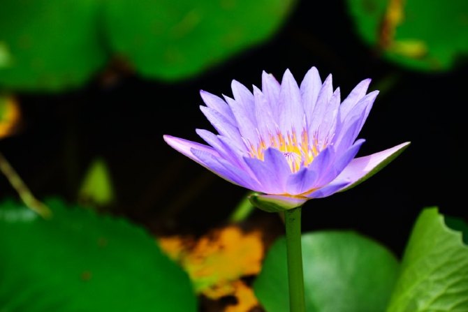 三亚能吃能玩的地方,三亚自由行玩到嗨