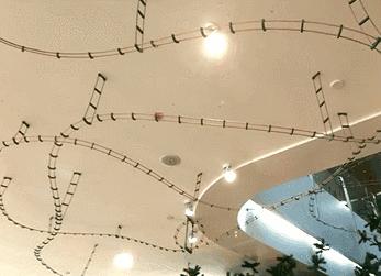 这家店挂着音乐盒的招牌，里面竟然藏着一个免费游乐园？