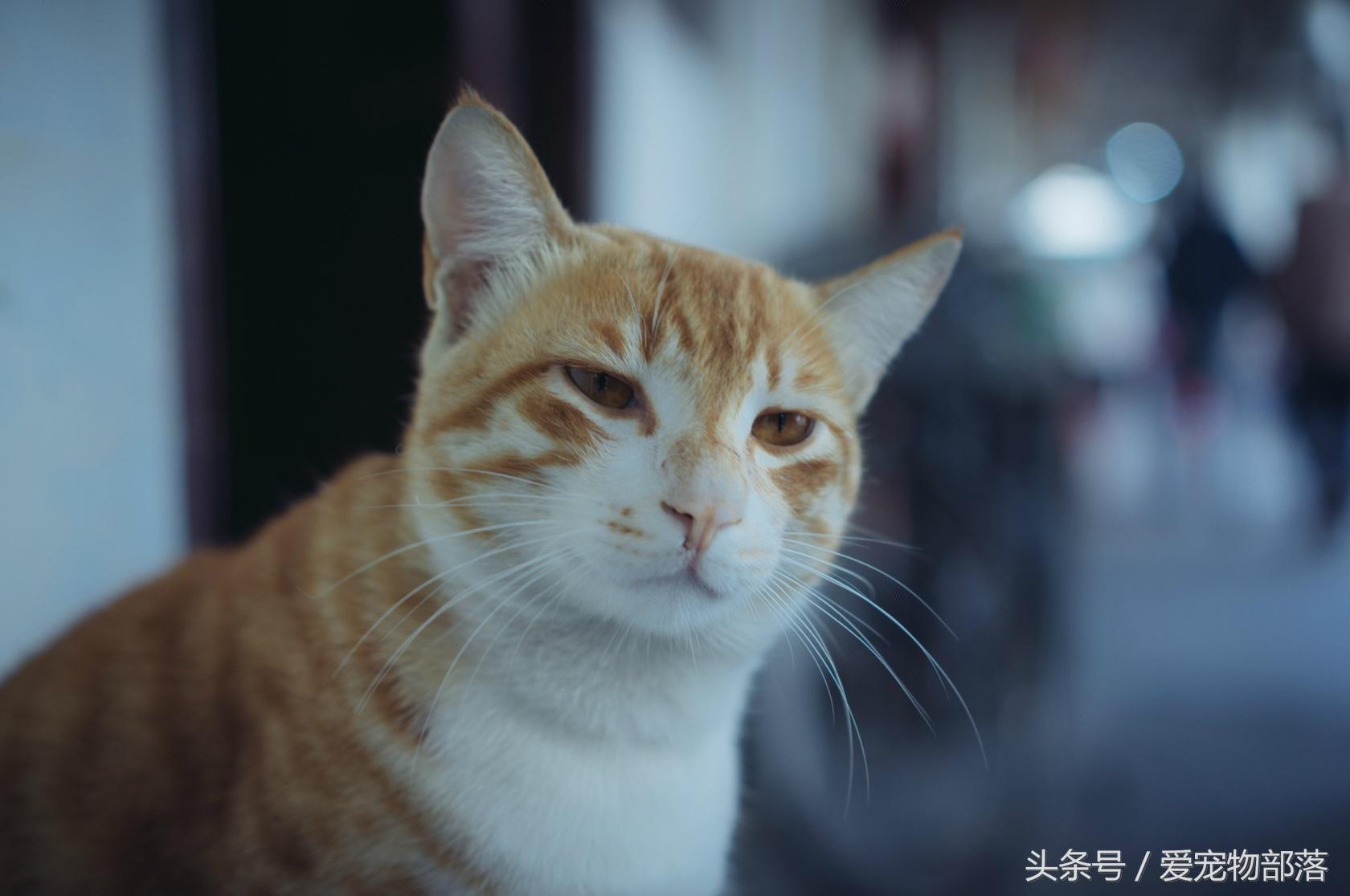 三人行必有我师其二,三人行必有我师2