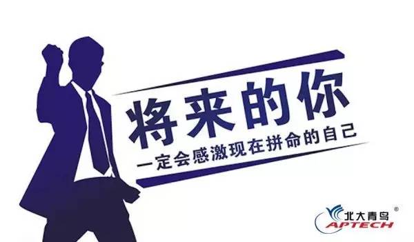 顶级的程序员都是自学的吗,你见过最顶级的程序员吗