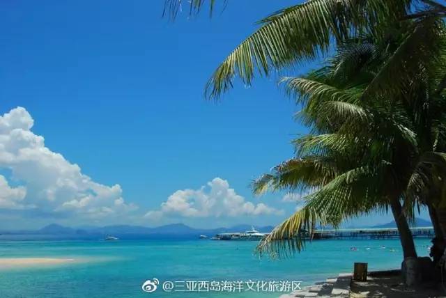 三亚潜水避坑攻略,三亚潜水新技巧