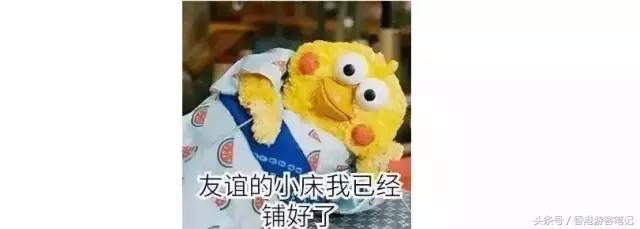 虐哭母鸡，打败名创，大创最好用的Top10好物分享