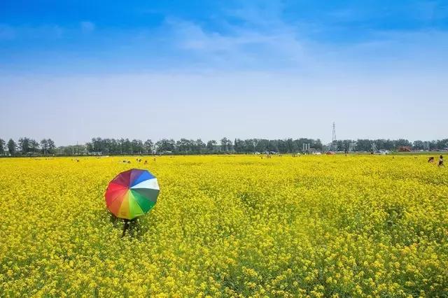 重磅！明天起，北京人要让全世界羡慕！