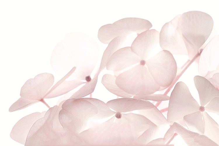 纯天然就是无公害,纯天然就真的安全吗别被骗了